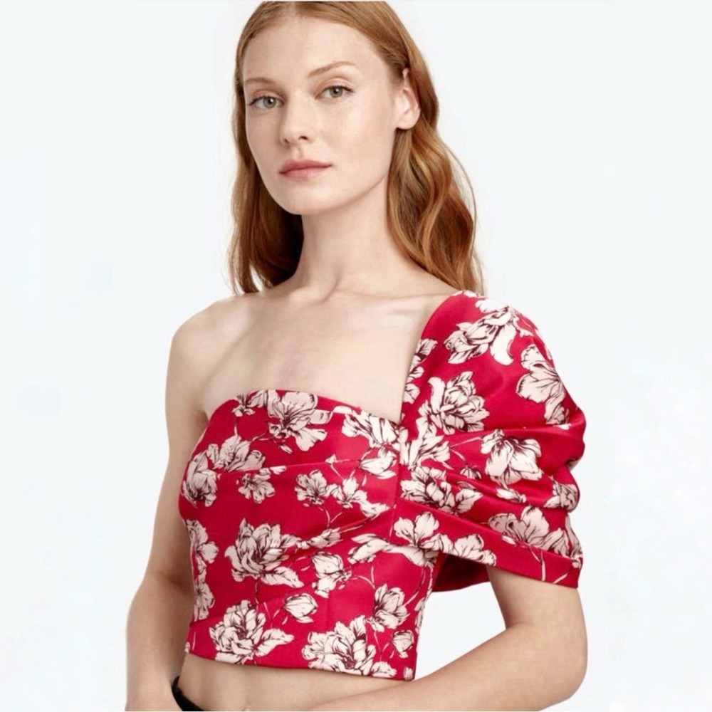 AMUR Lucia One Shoulder Crepe de Chine Crop Top Raspberry Wild‎ Rose Women Sz XS